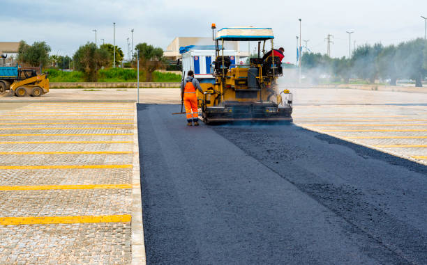 Best Driveway Pavers Near Me  in Cleveland, MS