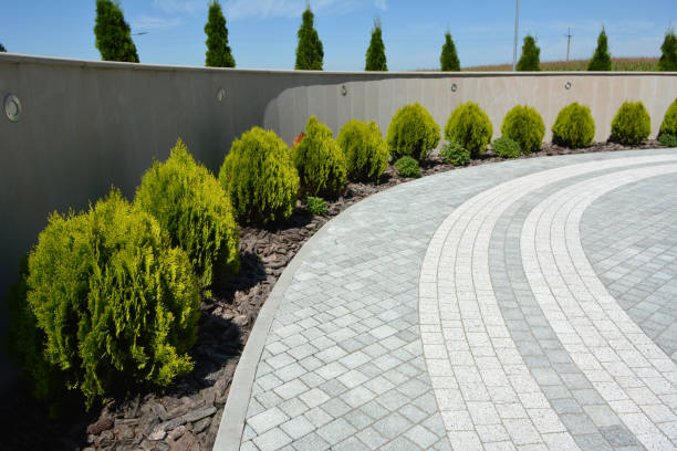 Best Best Driveway Pavers  in Cleveland, MS